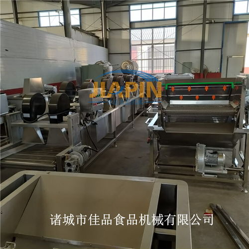 智能化凈菜加工設備 氣泡清洗、風干、速凍一體化解決方案